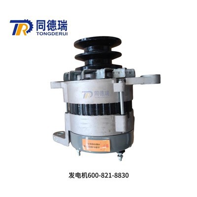 50a Alternatore 600-821-8830 600-821-9360 600-825-6250 per komatsu6d125